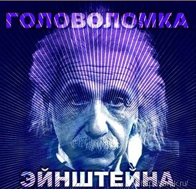 Головоломка Эйнштейна (2011, Rus)