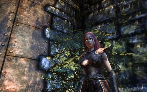 Divinity 2 пламя мести афй